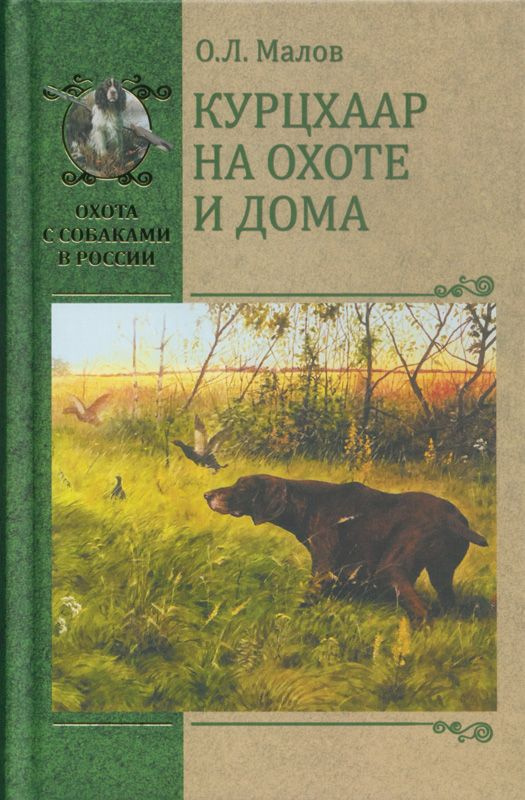 Курцхаар на охоте и дома | Малов Олег Львович #1