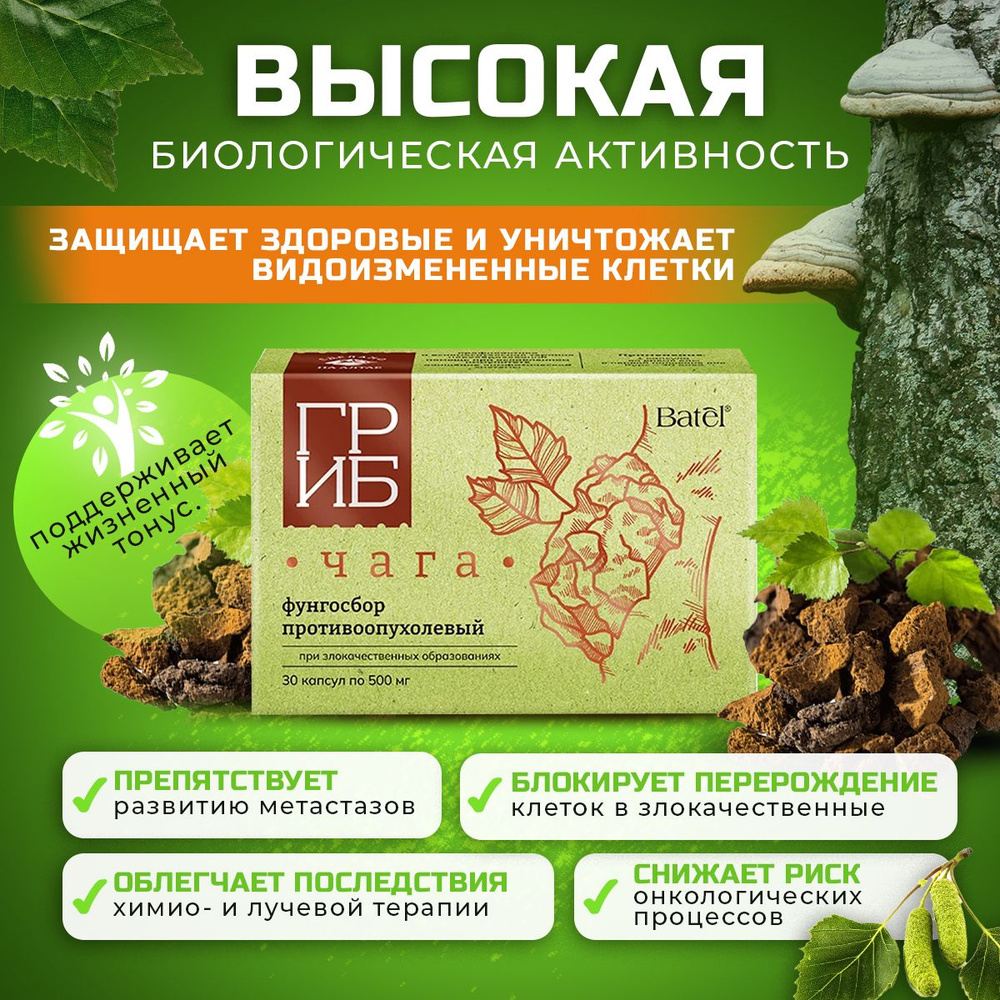 Концентрат пищевой на основе растительного сырья. Batel. Фунгосбор ...