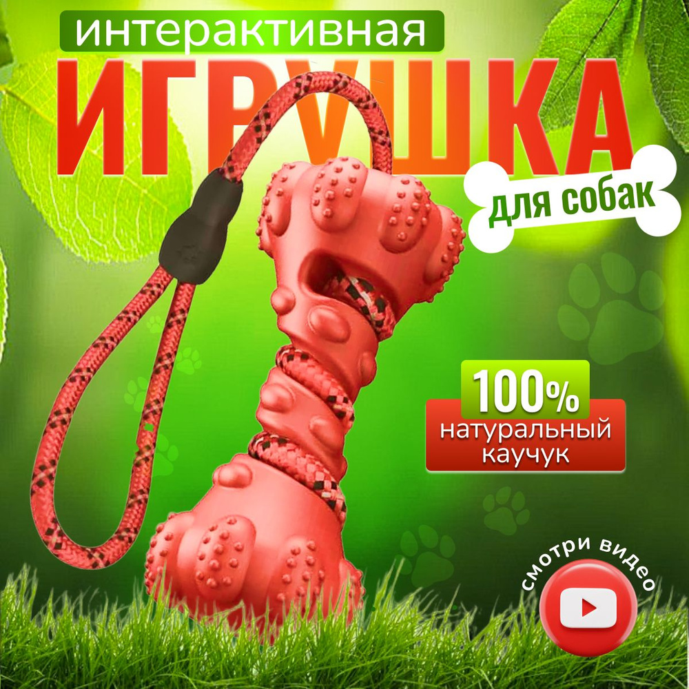 Игрушка для собак интерактивная для дрессировки крупных и средних пород  #1