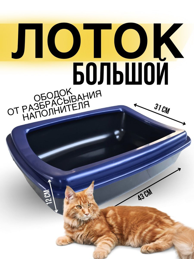 Лоток для кошек с высоким бортом и съемным ободком - купить с доставкой ...
