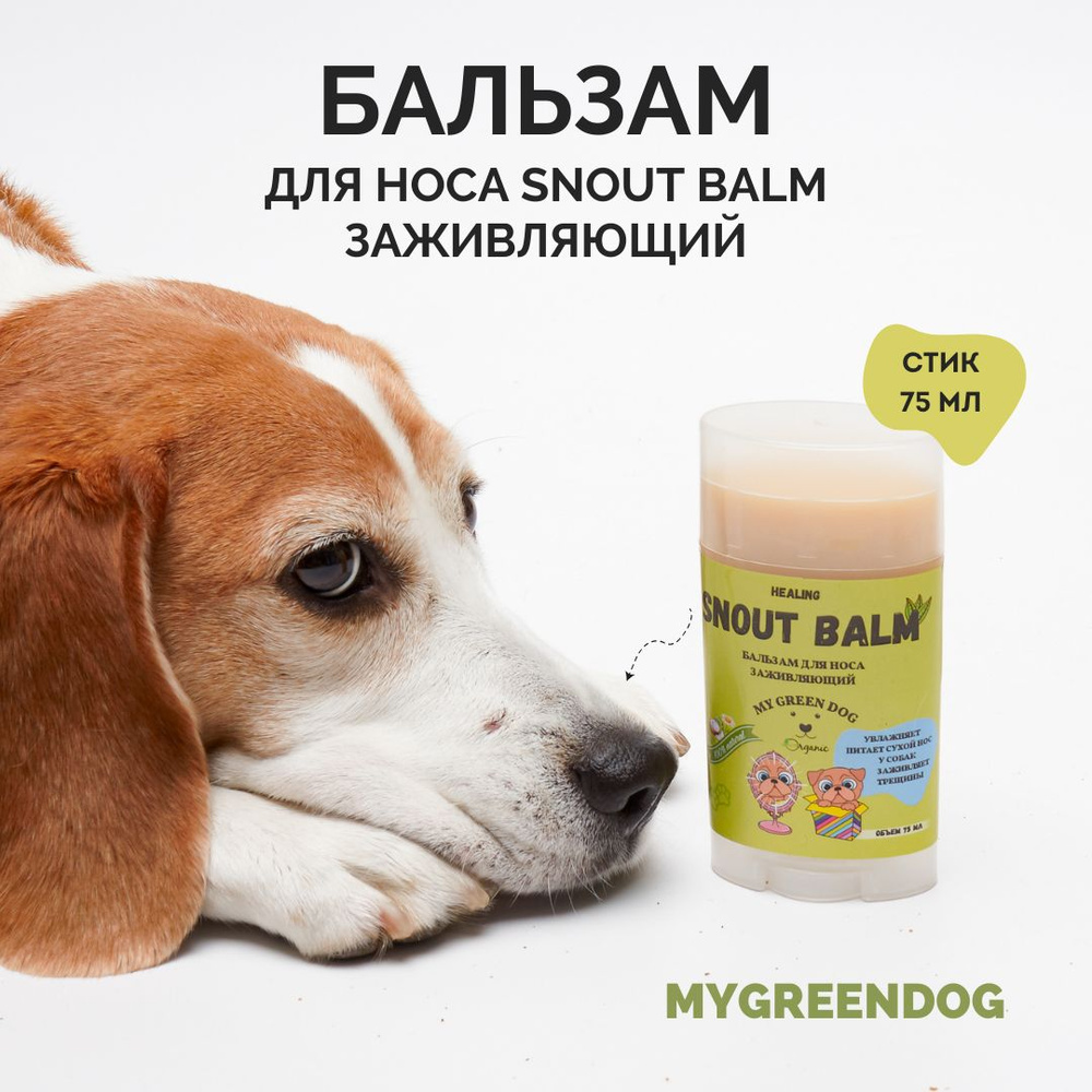 Бальзам для носа собак Snout Balm MyGreenDog 75 мл стик - купить с  доставкой по выгодным ценам в интернет-магазине OZON (265845970)