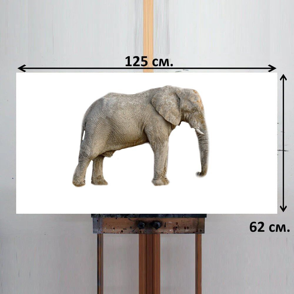 LotsPrints Картина "Слон, животное, африка 54", 125  х 62 см #1