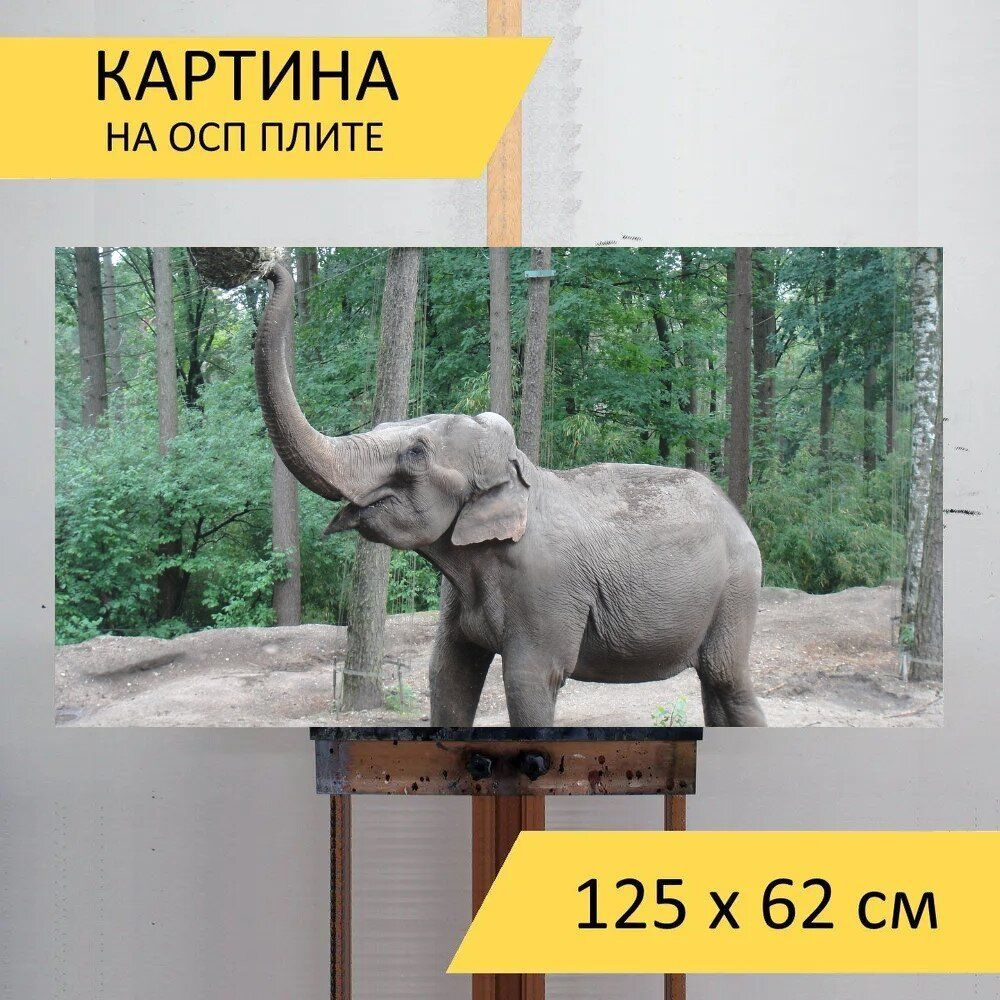 LotsPrints Картина "Слон, животное, ствол 71", 125  х 62 см #1