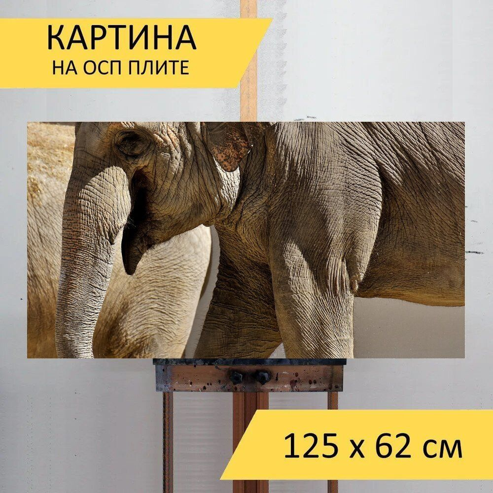 LotsPrints Картина "Слон, ствол, толстокожий 35", 125  х 62 см #1