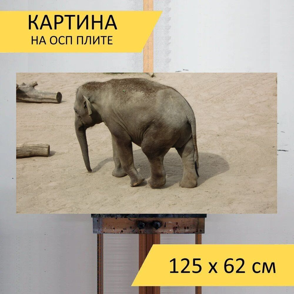 LotsPrints Картина "Слон, толстокожий, ствол 57", 125  х 62 см #1