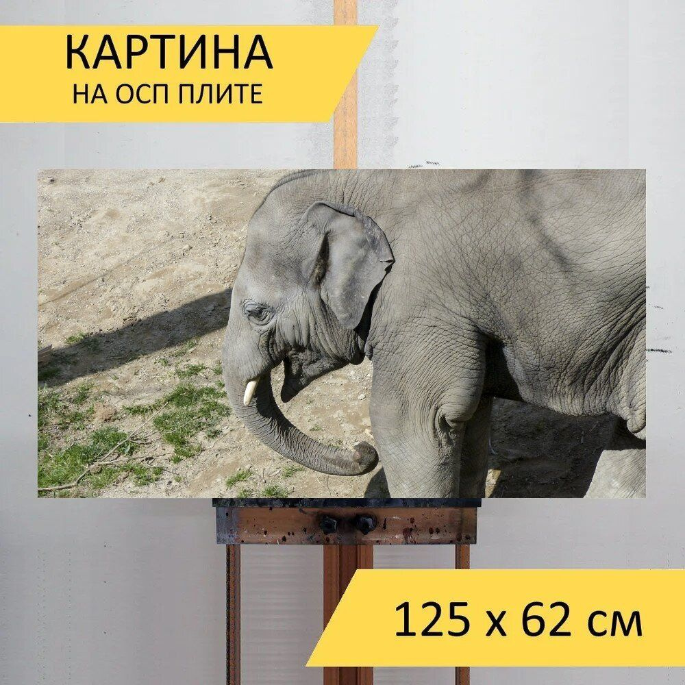 LotsPrints Картина "Слон, природа, животное 44", 125  х 62 см #1