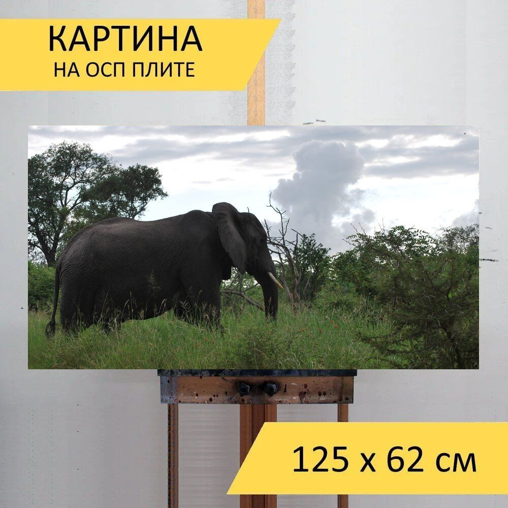 LotsPrints Картина "Слон, южная африка, сафари 22", 125  х 62 см #1