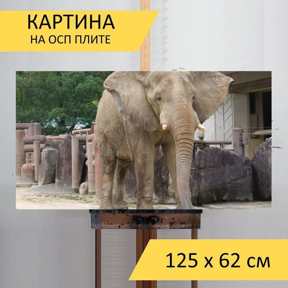 LotsPrints Картина "Слон 76", 125  х 62 см #1