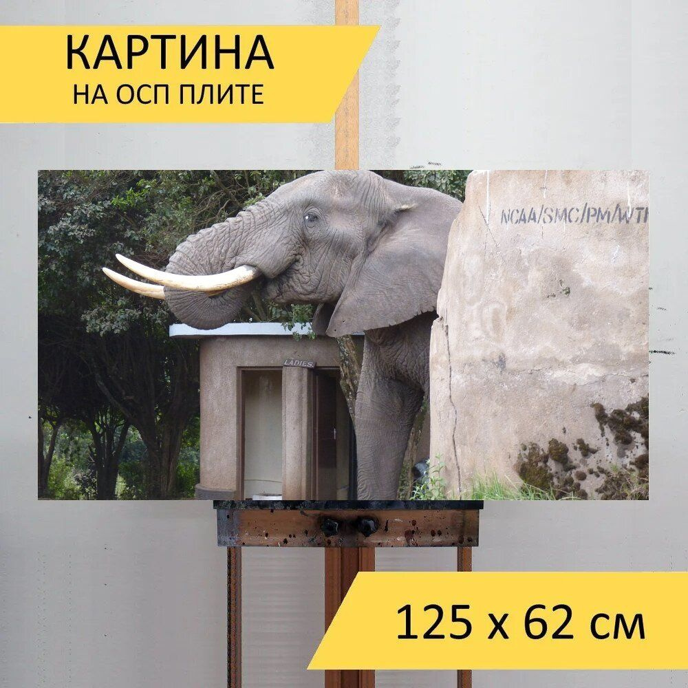 LotsPrints Картина "Слон, африке, туалет 03", 125  х 62 см #1