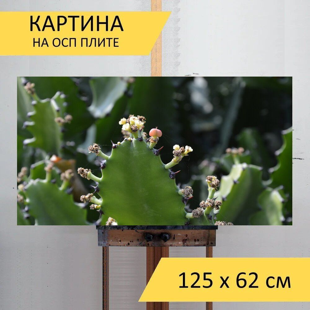 LotsPrints Картина "Кактус, листья, цветы 46", 125  х 62 см #1