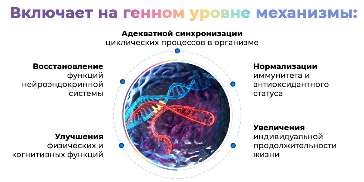 Текстовое описание изображения