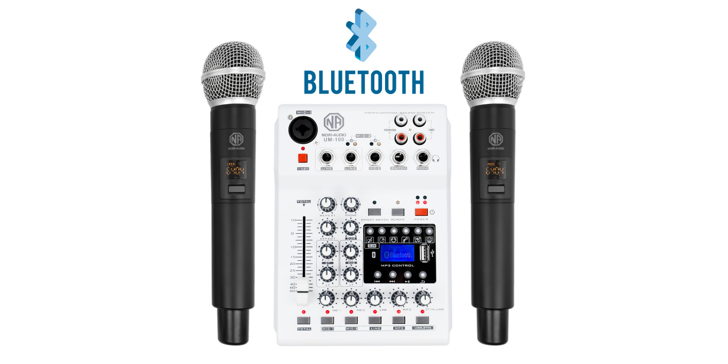 Караоке система NOIR-audio UM-100 с микшером, два беспроводных ...