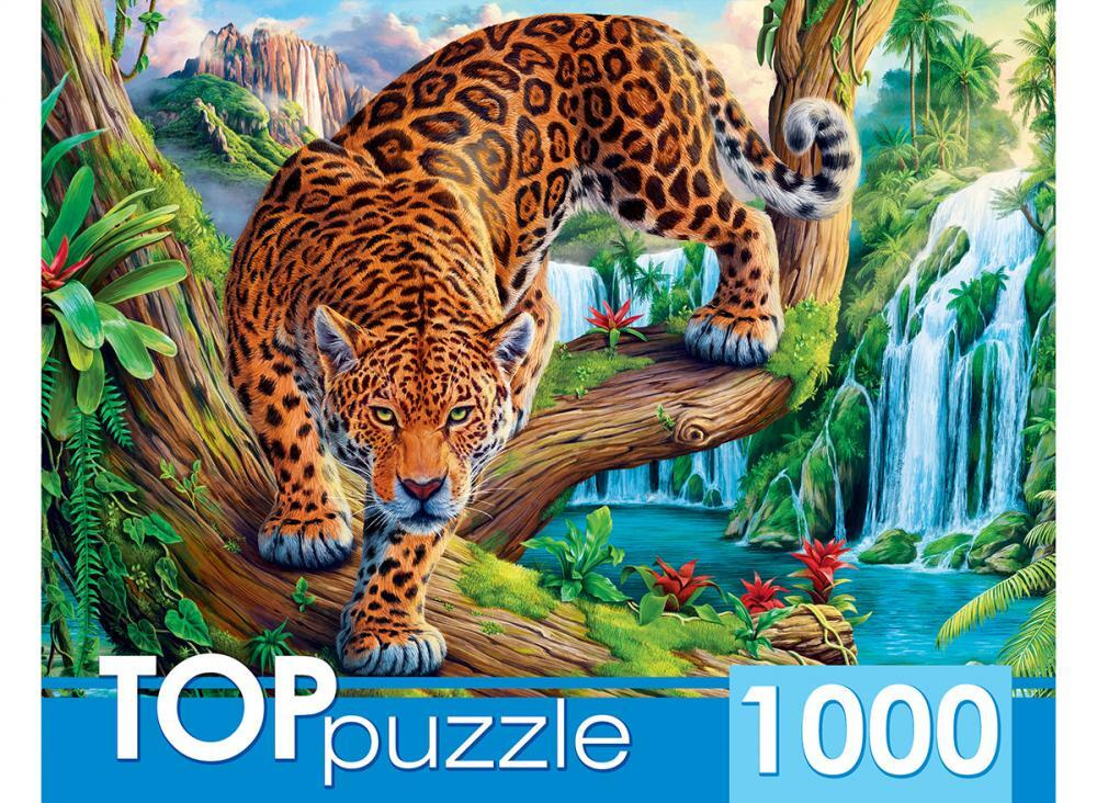 Пазл TOP Puzzle 1000 деталей, элементов: Леопард на дереве #1