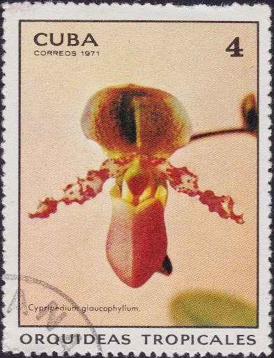 (1971-038) Марка Куба "Венерин башмачок" Орхидеи III гашеная #1