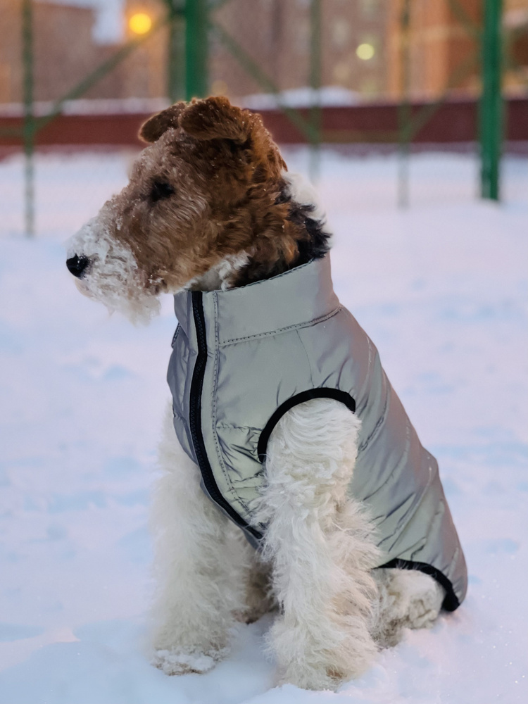 Одежда для собак