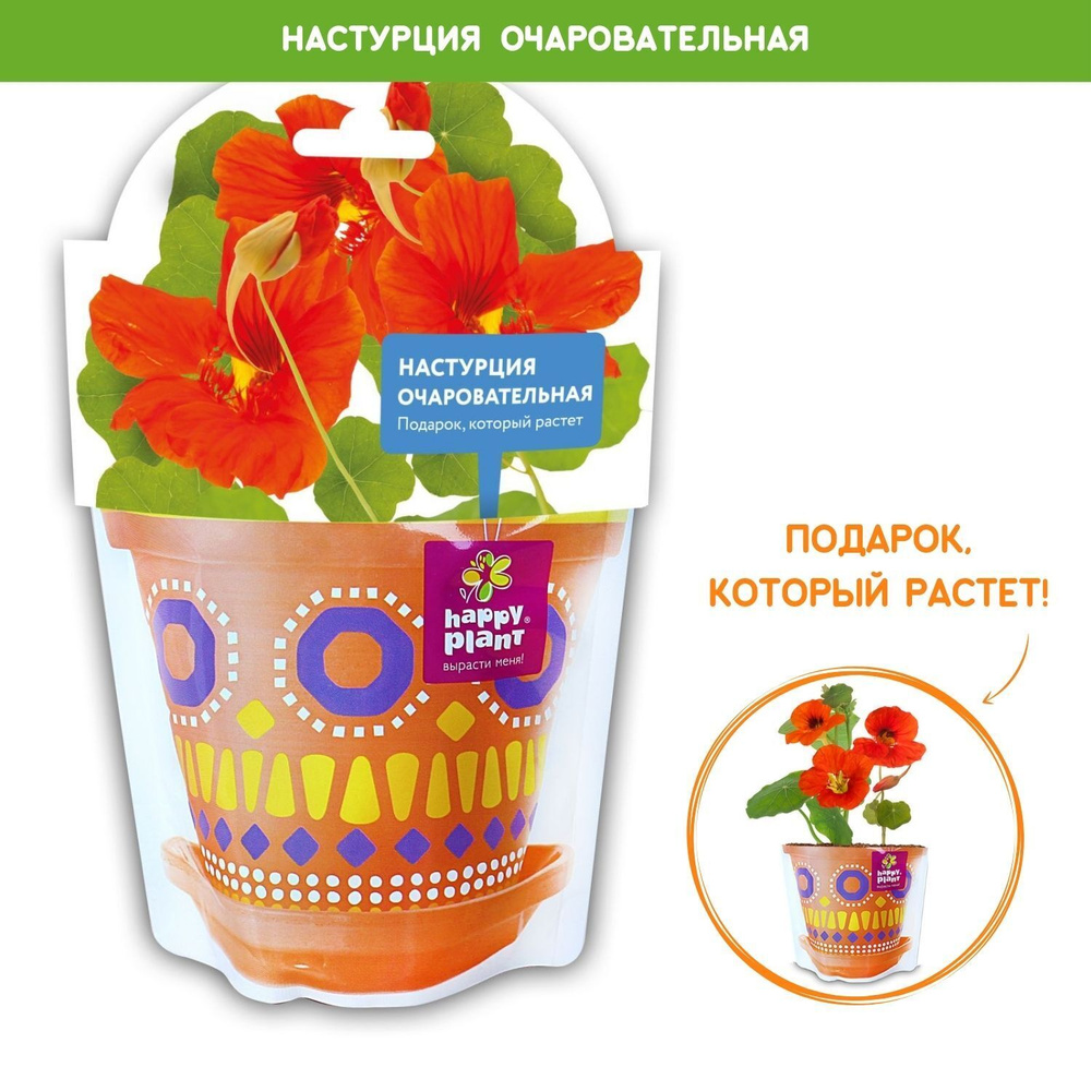 Набор для выращивания растений Happy Plant Настурция очаровательная  #1