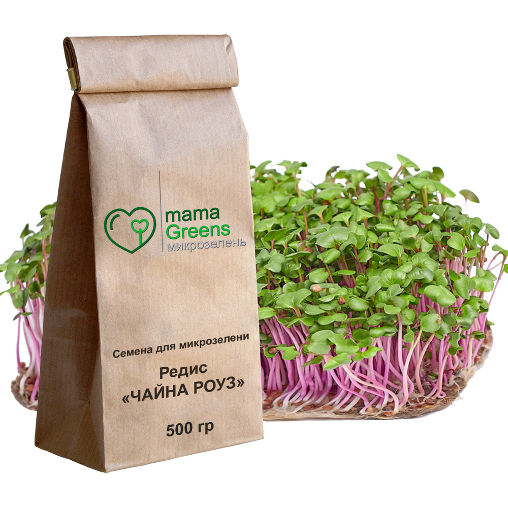 Семена Редис "Чайна Роуз" 500 гр - весовые семена для выращивания микрозелени и проращивания в домашних #1