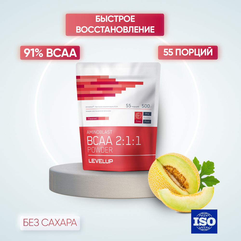 LevelUp Аминокислоты BCAA 2:1:1 AMINOBLAST POWDER (БЦАА) Дыня, 500 гр / 55 порций  #1