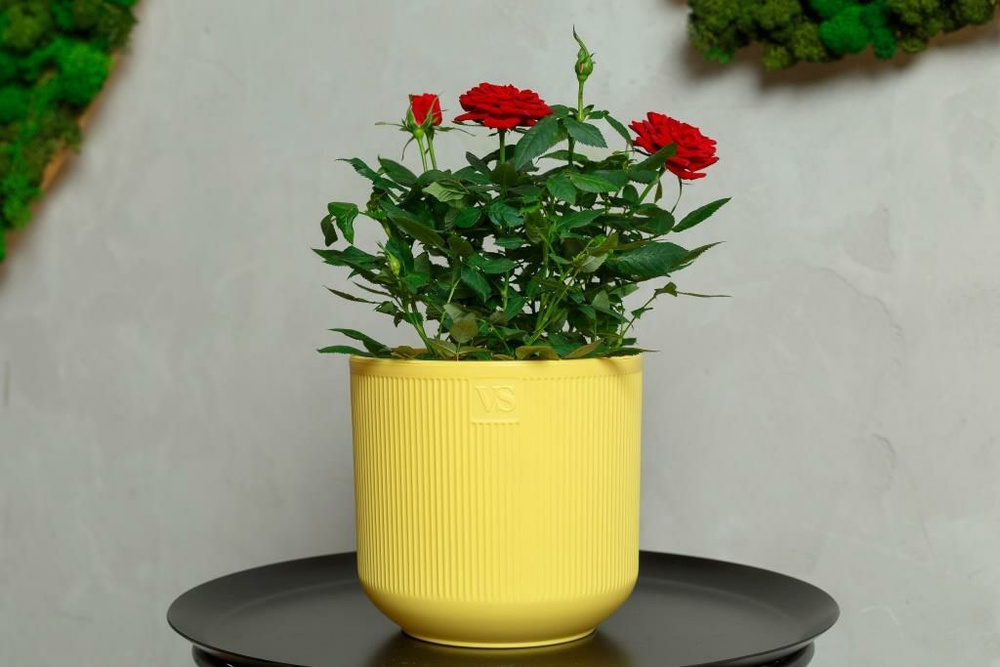 VipSet Горшок для цветов, 17,5 см х 19 см, 4.4 л #1