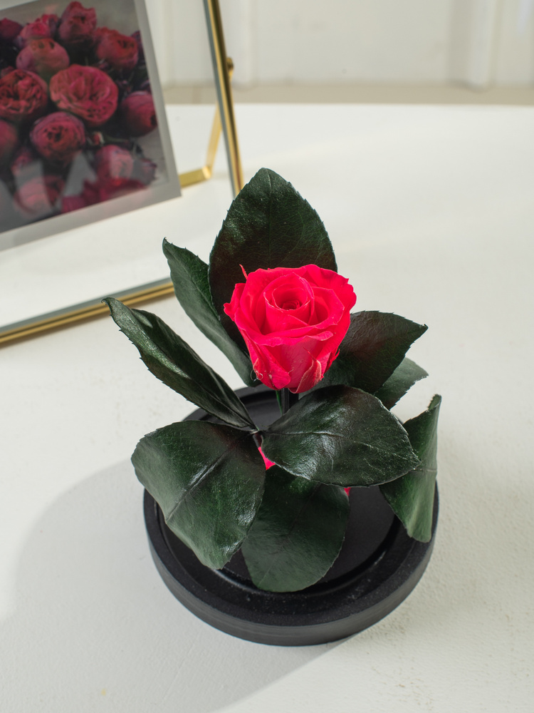 Роза в колбе живая, вечная, стабилизированная "Mini" 16 см, подарок маме, женщине, на 8 марта , на день #1