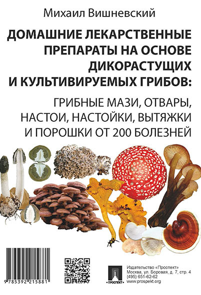 Домашние лекарственные препараты на основе дикорастущих и культивируемых грибов: грибные мази, отвары, #1