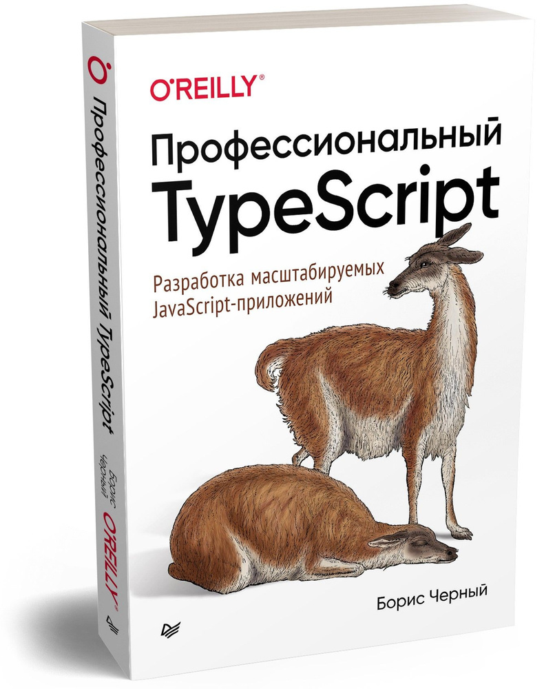 Профессиональный TypeScript. Разработка масштабируемых JavaScript-приложений | Черный Борис  #1