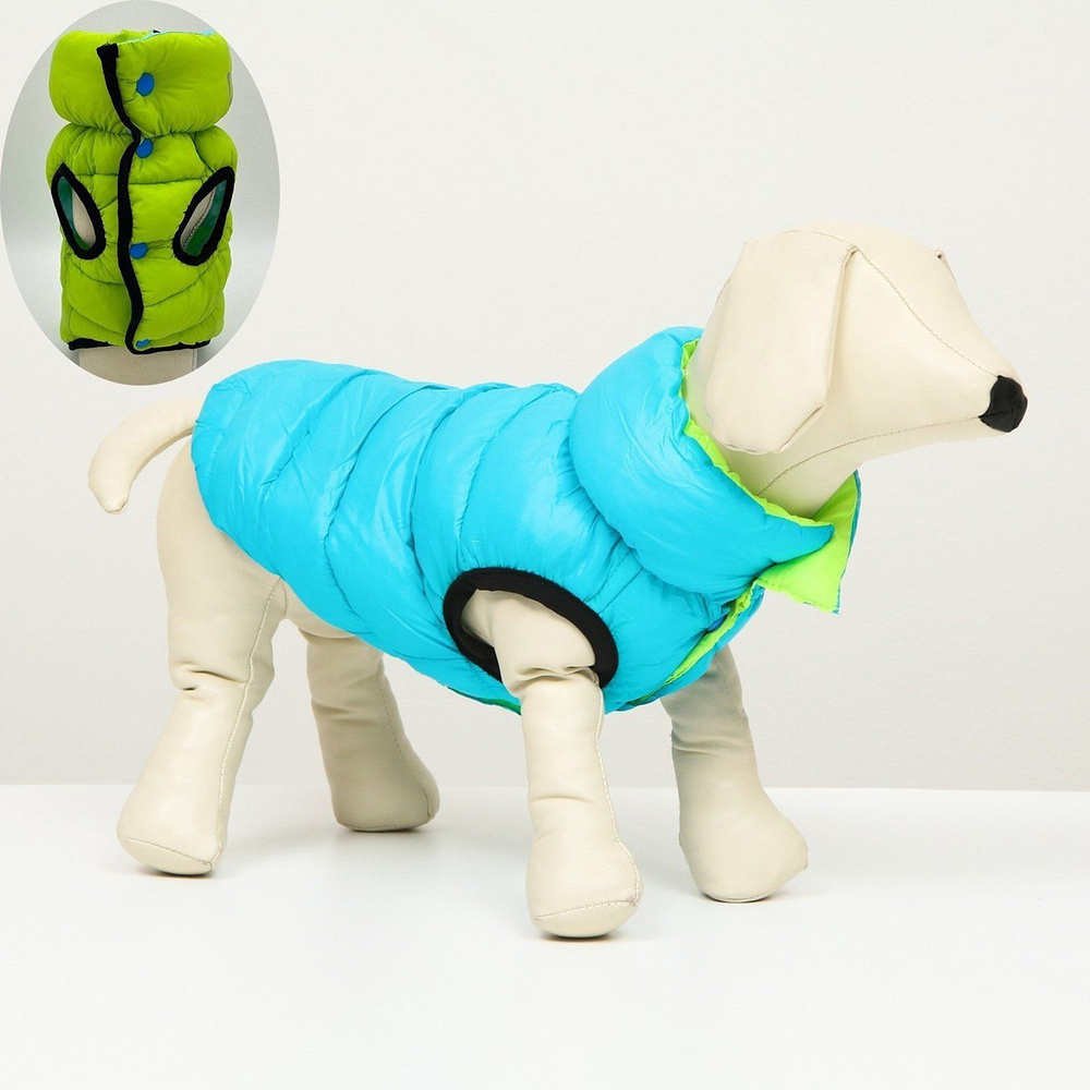 Куртка для собак Sima-Land двухсторонняя S бирюзовая/салатовая  #1