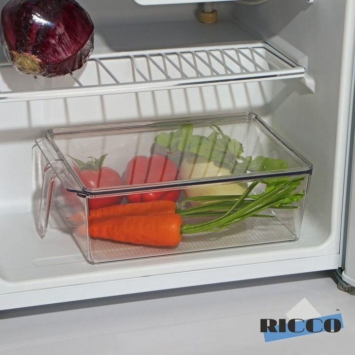 Контейнер для холодильника с крышкой и ручкой RICCO, 32х20,5х10 см, цвет прозрачный  #1