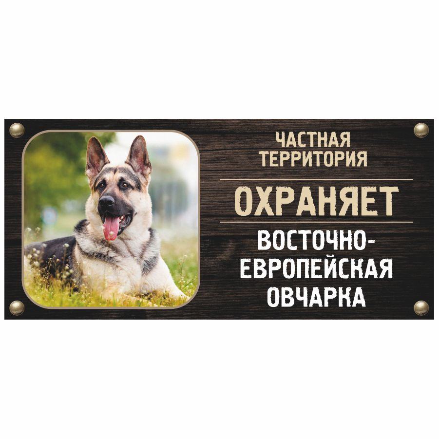 Табличка, Злая собака, Территорию охраняет Восточноевропейская овчарка, на металлической основе, 30см #1