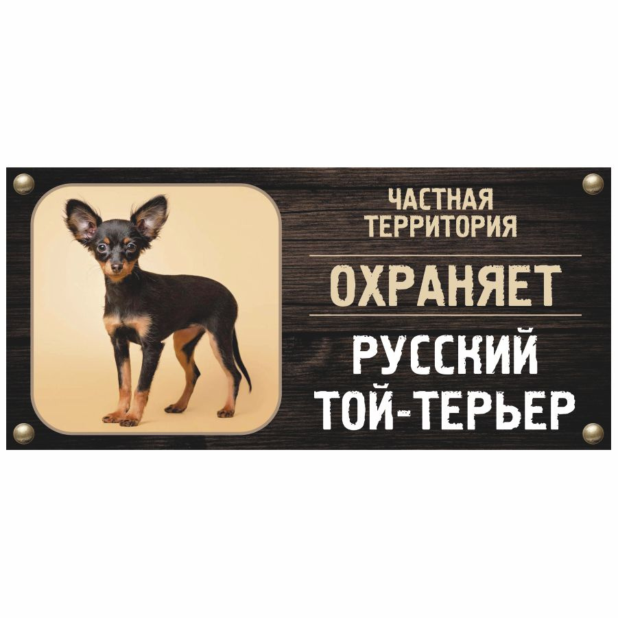 Табличка, Злая собака, Территорию охраняет Русский той-терьер, на металлической основе, 30см х 14 см, #1