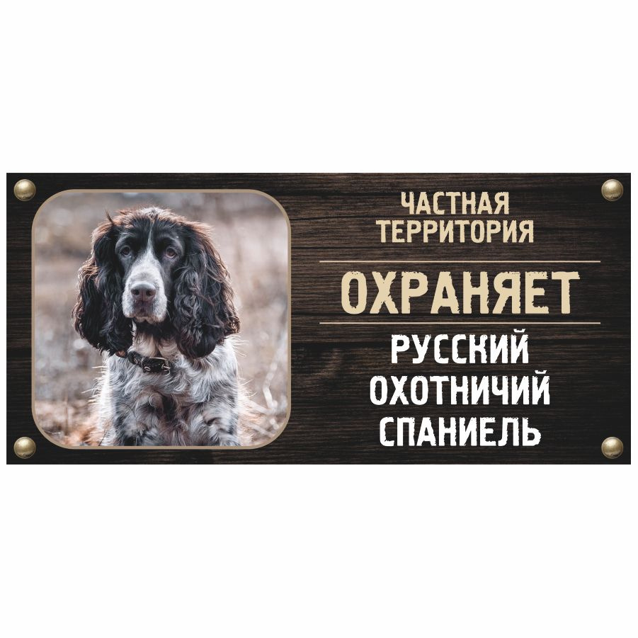 Табличка, Злая собака, Территорию охраняет Территорию охраняет Русский охотничий спаниель, на металлической #1