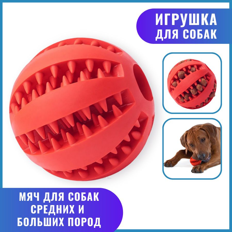 NATION PRIDE Жевательная резиновая игрушка для собак мяч 7 см, красная  #1