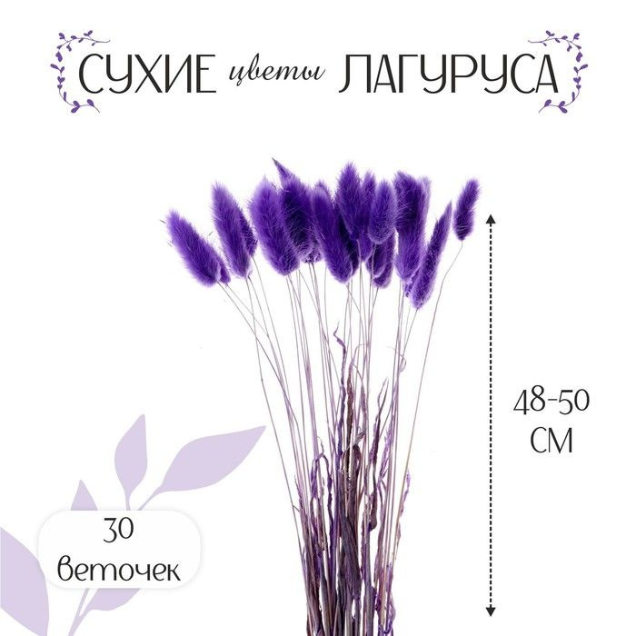 Сухие цветы лагуруса, набор 30 шт., цвет фиолетовый #1