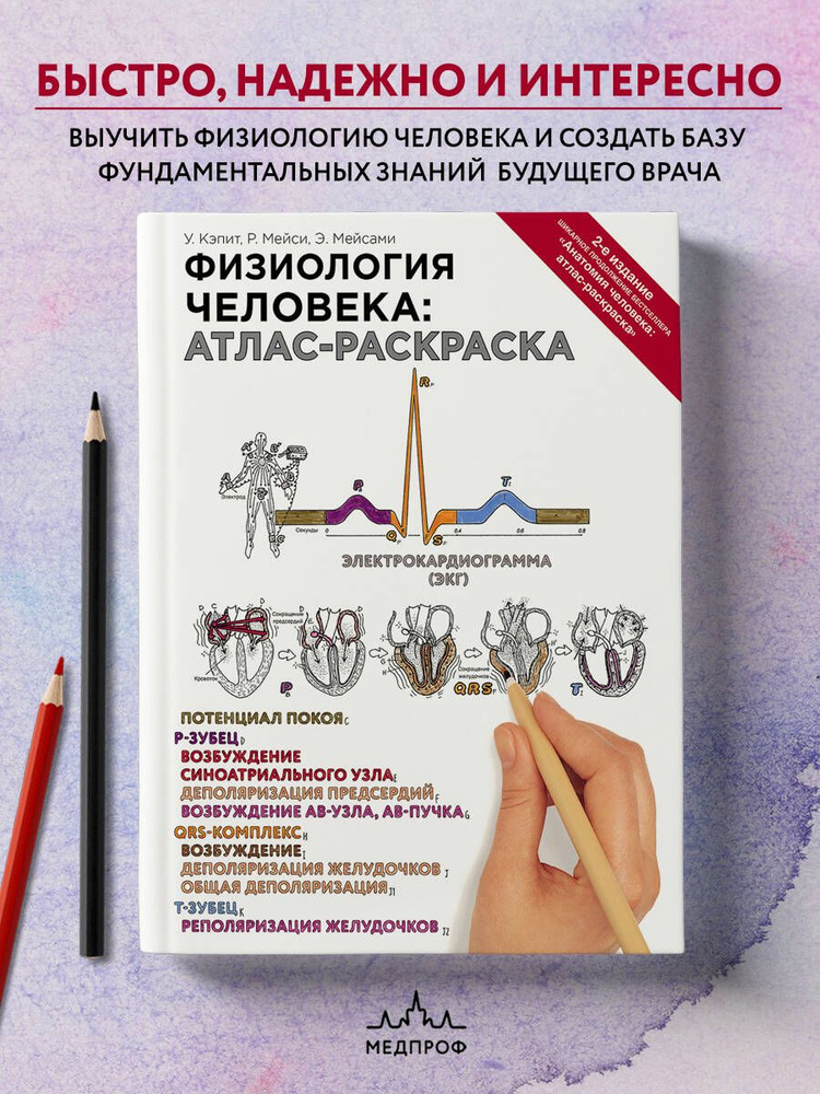 Физиология человека: атлас-раскраска | Кэпит Уинн, Мейси Роберт  #1