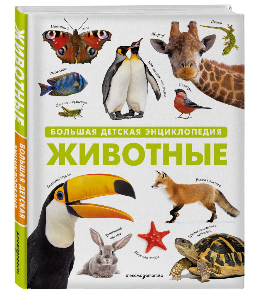 Животные. Большая детская энциклопедия #1