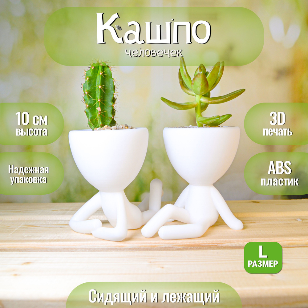 Кашпо для кактусов, суккулентов и мха, декоративное, 10 см - купить с ...