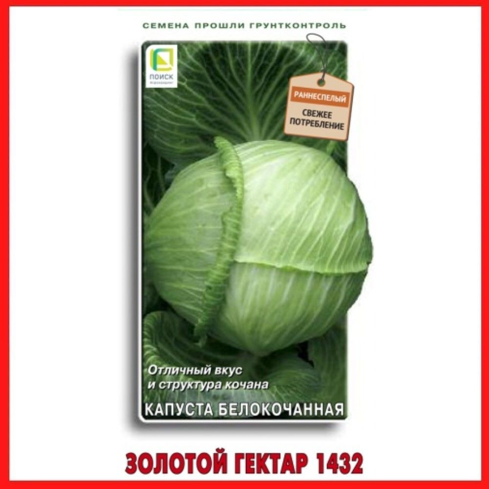 Семена Капуста белокочанная "Золотой гектар 1432", 0,5 гр, для дома, дачи и огорода, в открытый грунт, #1