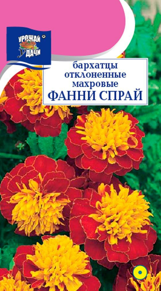 Семена Бархатцы отклонённые ФАННИ Спрай махровые (Семена УРОЖАЙ УДАЧИ, 0,2г в упаковке)  #1