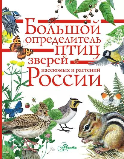 Большой определитель птиц, зверей, насекомых и растений России | Волцит Петр Михайлович, Пескова Ирина #1