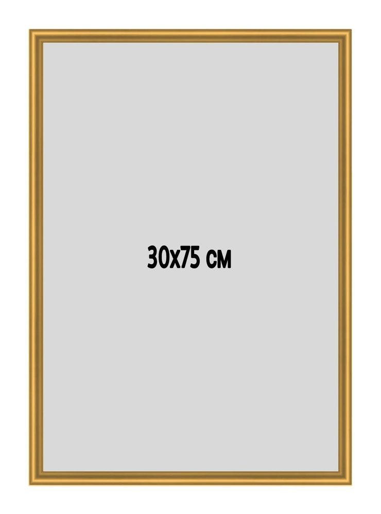 Фоторамка металлическая (алюминиевая) золотистая для постера, фотографии, картины 30х75 см. Рамка для #1