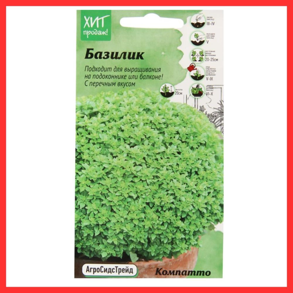 Базилик АгроСидсТрейд Базилик АСТ_зеленый - купить по выгодным ценам в  интернет-магазине OZON (957607091)