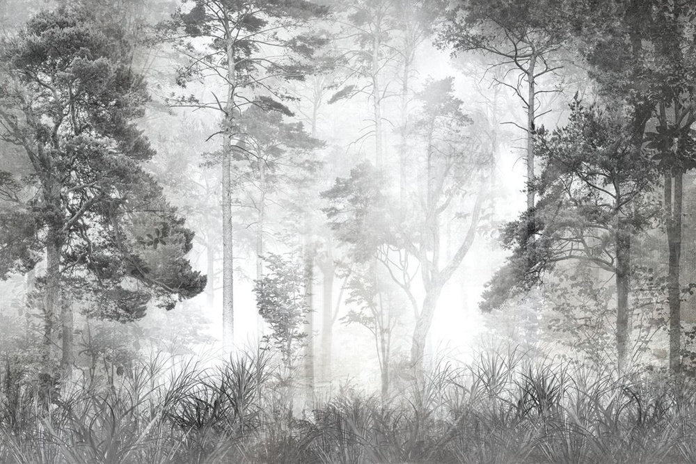 Фотообои флизелиновые на стену 3д GrandPik 10257 "Лес в тумане" см(ШхВ), 300х200 см  #1