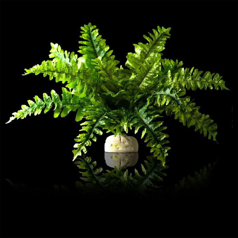 Искусственное растение - Папоротник Hagen Exo-Terra Boston Fern, small  #1