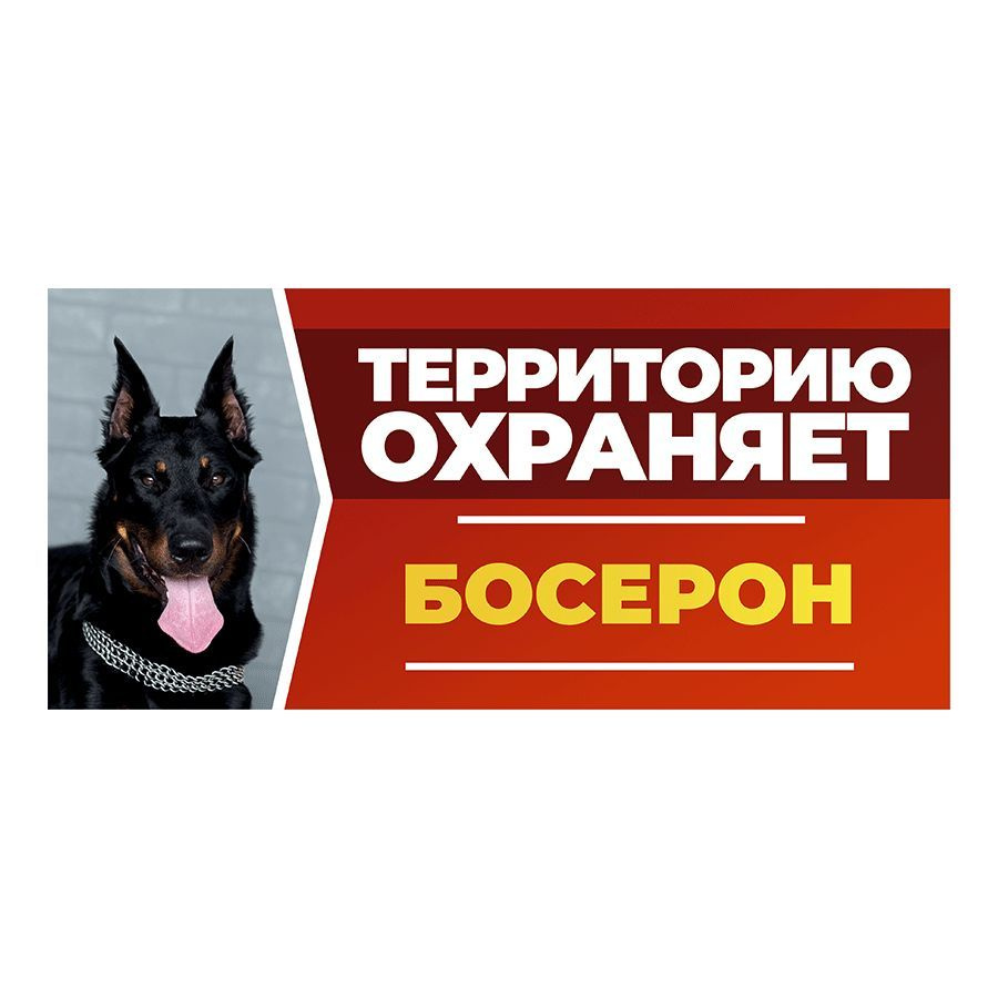 Табличка, DANGER DOG, Босерон, на забор, 30см х 14см #1