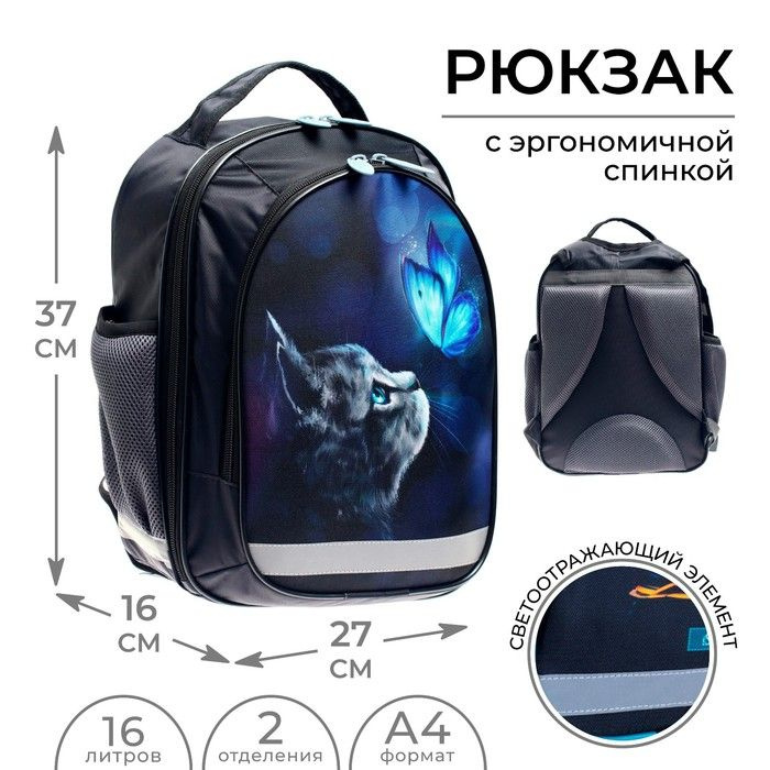 Рюкзак школьный, 37 х 27 х 16 см, эргономичная спинка, Calligrata Б "Котик"  #1