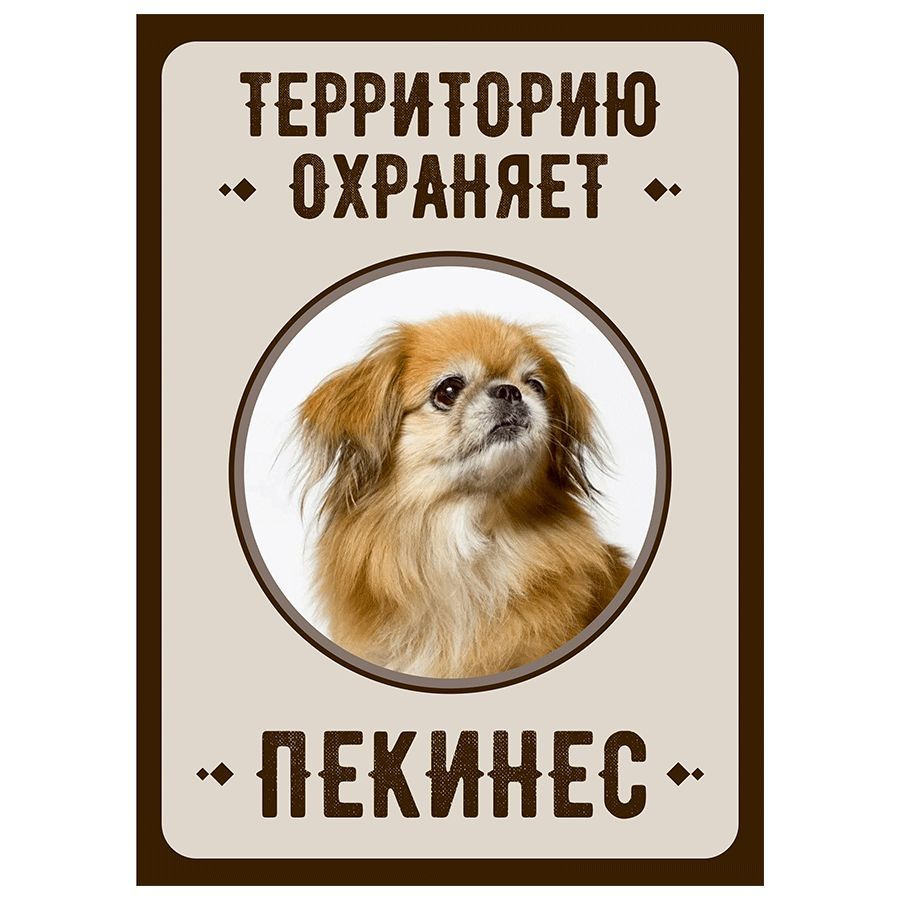 Табличка, Злая собака, Территорию охраняет Пекинес, на металлической основе, 18см х 25 см, на забор, #1