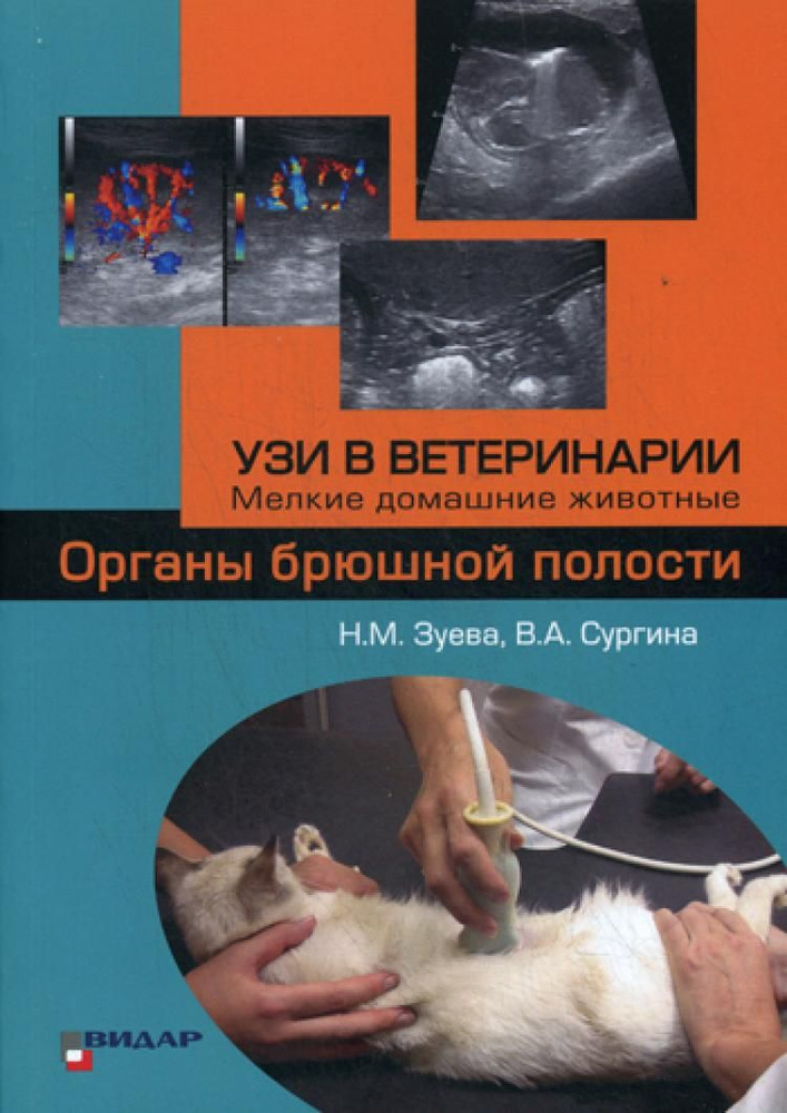 УЗИ в ветеринарии. Мелкие домашние животные. Органы брюшной полости. | Зуева Наталья Михайловна  #1