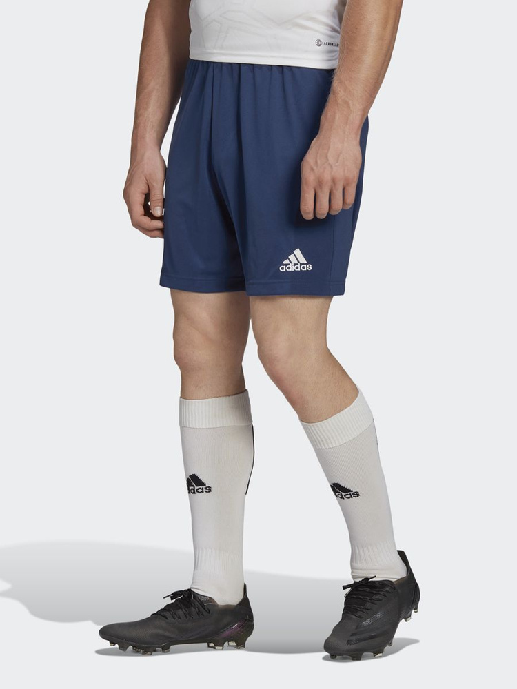 adidas Entrada 22 Shorts