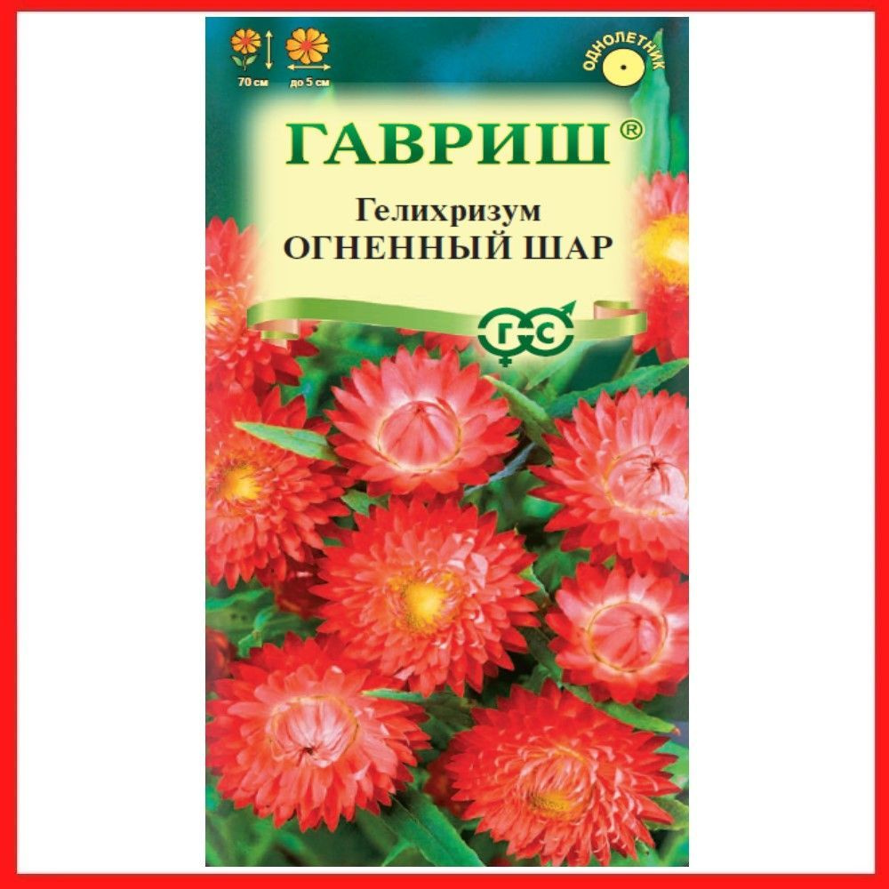 Семена Гелихризум "Огненный шар" 0,1 гр, однолетние цветы для дачи, сада и огорода, клумбы, в открытый #1