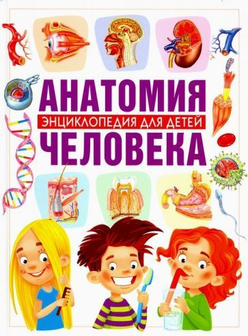 Анатомия человека. Энциклопедия для детей #1